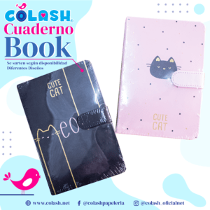 CUADERNO BOOK VARIOS